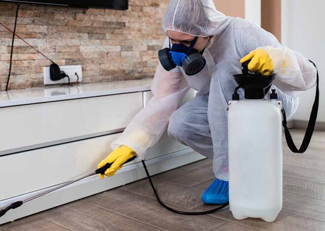 The Way Front Pest Control Saves Homes and Businesses