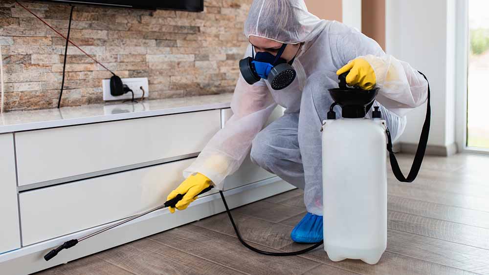The Way Front Pest Control Saves Homes and Businesses