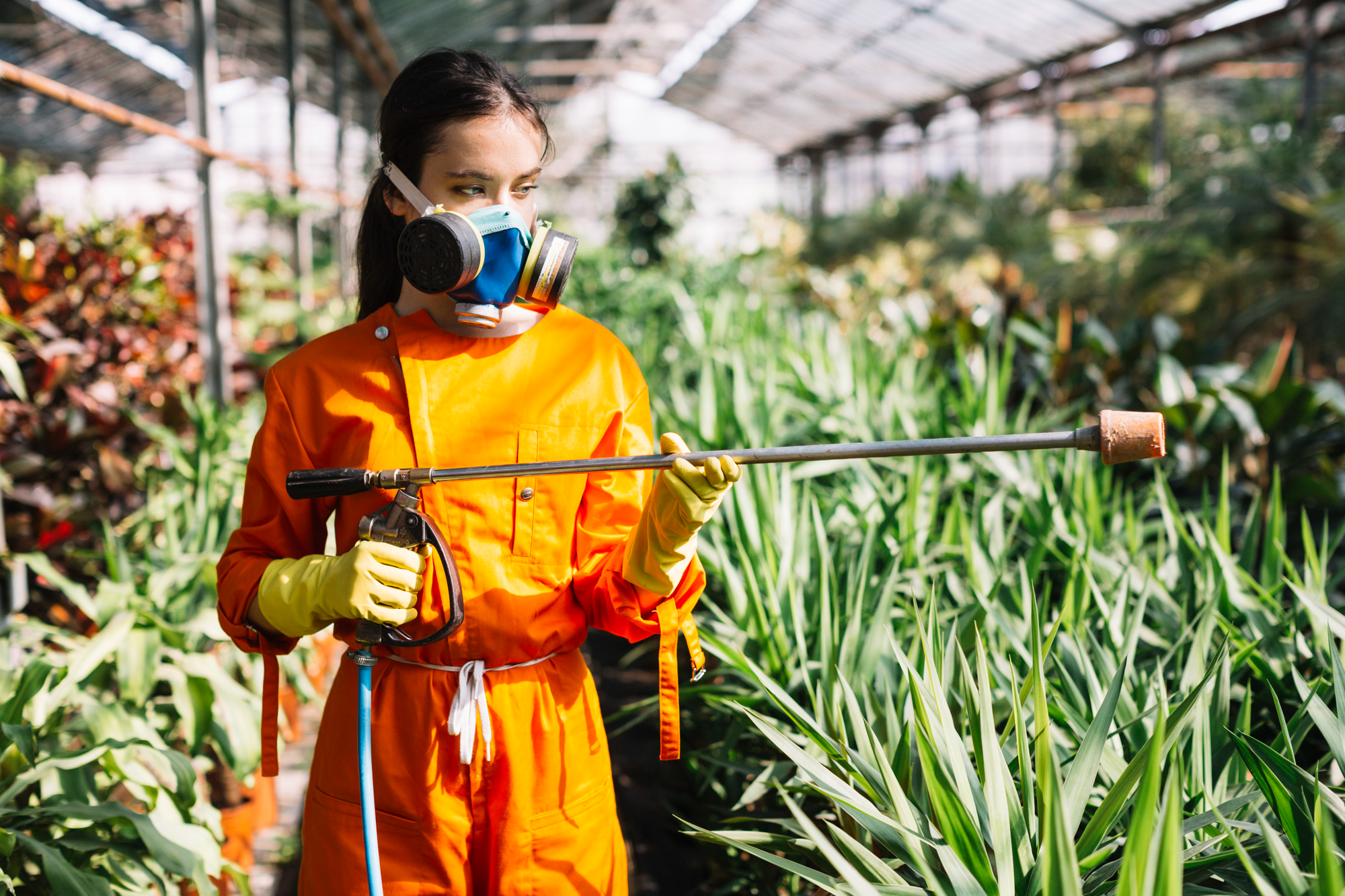 A Complete Guide to Pesticide Licensing: Who Needs It and Why 