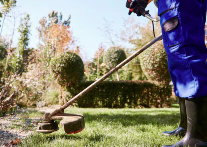 Creative Ways to Enhance the Beauty of Your Outdoor Space