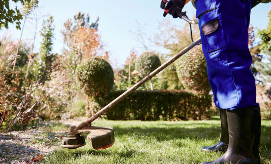 Creative Ways to Enhance the Beauty of Your Outdoor Space