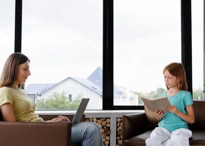 A Homeowner’s Guide to Choosing the Best Windows